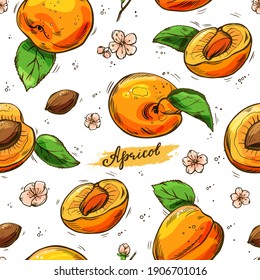 Apricots colorful seamless pattern. Vector hand-drawn background.