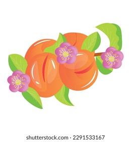 Apricots avec fleurs et feuilles sur fond blanc