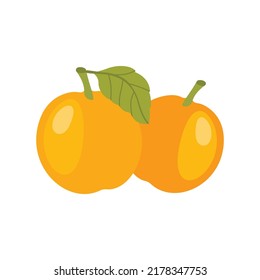 Apricots, fresh and healthy. For web design, a fresh apricot eco vector flat illustration.