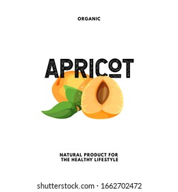 Aprikosenfrüchte einzeln auf Ikone. Design-Konzept für das Logo der Vektorillustration. Beschriftung. Naturapricots-Pflanzenemblem. Vorlage für Logo-Produkt mit Typografie-Design und grafisches Zeichen von Aprikose.
