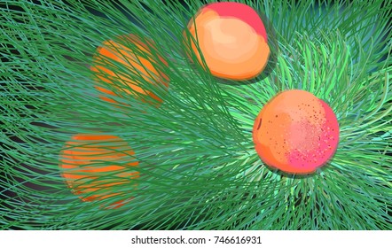 Apricots in the grass