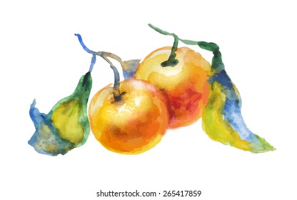 Apricots with leafs. Isolated on white background
