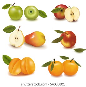  Apricots, pears, apples and tangerine. Photo-realistic vector illustration.