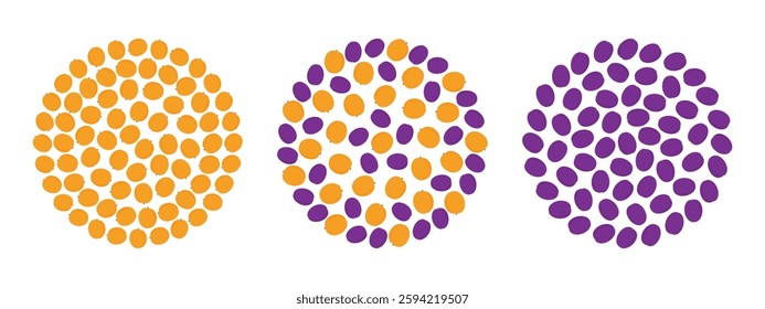 Apricots and plums Circular Backgrounds Summertime colorful fruits backdrops concept Set 3 Template