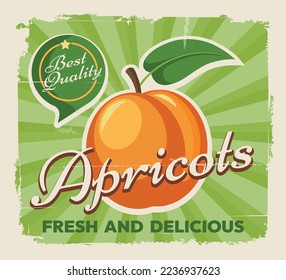 Apricots retro poster. Apricot fruits old style advertisement, nectarine vintage label sign concept vector banner