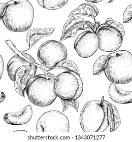 Apricots . Vector seamless pattern. Vintage style