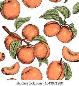 Apricots . Vector seamless pattern. Vintage style