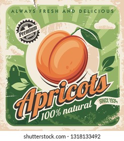 Apricots vintage poster design. Organic and natural farm fruits retro sign. Juicy apricot on green background. Vector image.