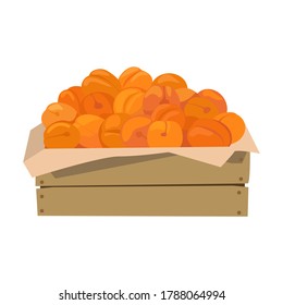 Apricots in a wooden box. Vector illustration. Isolated on white background.