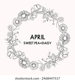 April birth month flower wreath, sweet pea and daisy flower border, vector hand drawn isolated line art botanical frame for greeting cards and invitations