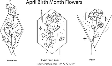 April Birth Month Flowers Line Illustration, Sweet Pea and Daisy Floral Bouquets, Tattoo Vector Design