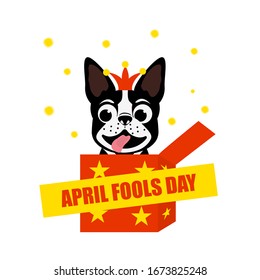 April Fools Day. Funny Dog Jumps From The Box. French Bulldog In Jack Hat.Vector Illustration.