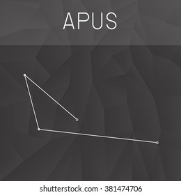 Apus Constellation