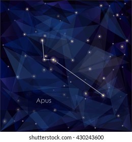Apus constellation in night sky, background s a triangulation