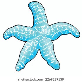 Aqua color starfish vector  EPS illustration. 