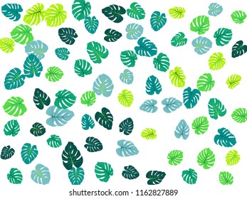 Aquamarine tropical jungle leaves vector scatter. Philodendron or monstera plant summer background. Simple jungle plants tropical foliage pattern. Floral graphics with monstera leaves on white.