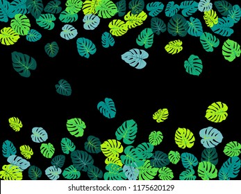 Aquamarine tropical jungle leaves vector scatter. Philodendron or monstera plant summer background. Hawaiian jungle plants tropical foliage pattern. Greenery design with monstera leaves on black.