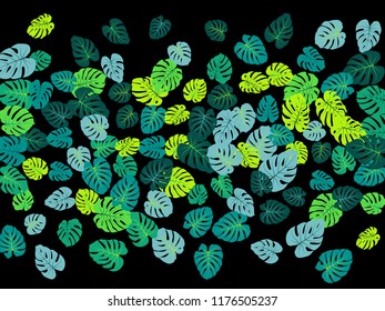 Aquamarine tropical jungle leaves vector scatter. Philodendron or monstera plant summer background. Awesome jungle plants tropical foliage pattern. Greenery design with monstera leaves on black.