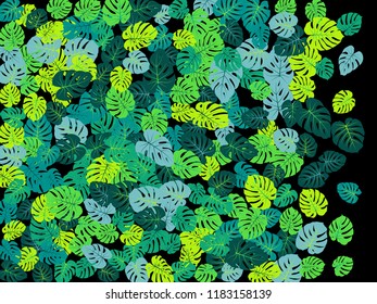 Aquamarine tropical jungle leaves vector scatter. Philodendron or monstera plant summer background. Cool jungle plants tropical foliage pattern. Floral graphics with monstera leaves on black.