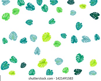 Aquamarine tropical jungle leaves vector scatter. Philodendron or monstera plant summer background. Bohemian jungle plants tropical foliage pattern. Floral vector with monstera leaves on white.