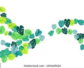 Aquamarine tropical jungle leaves vector scatter. Philodendron or monstera plant summer background. Paradise jungle plants tropical foliage pattern. Floral graphics with monstera leaves on white.