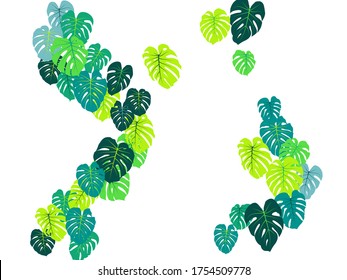 Aquamarine tropical jungle leaves vector scatter. Philodendron or monstera plant summer background. Exotic jungle plants tropical foliage pattern. Floral vector with monstera leaves on white.