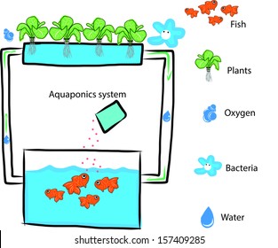 Aquaponics system