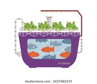 Aquaponics system for crops production flat vector illustration isolated on white. Water tank with fish.