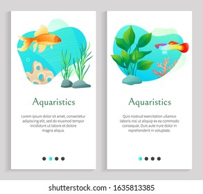Aquaristics marine life vector, fish and seaweed flora and fauna underwater, goldfish and stones at bottom of sea or ocean, aquarium and text. Website or slider app, landing page flat style