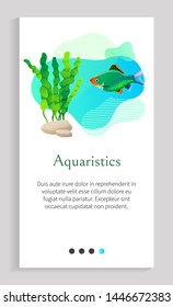 Aquaristics vector, fish in sea water swimming along stones with foliage of green seaweed and flora of underwater, aquarium with decoration. Website or app slider template, landing page flat style