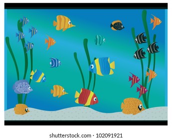 Aquarium Full Beautiful Fish Raster Stock Illustration 26501098