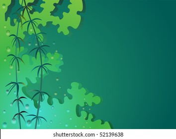 aquarium