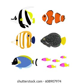 aquarium
