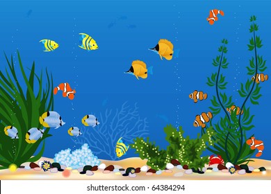 Aquarium