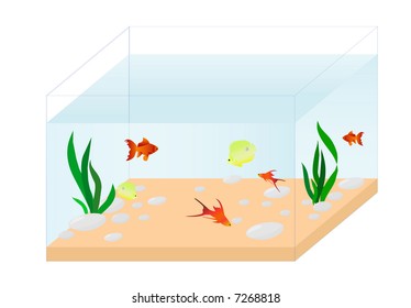 aquarium