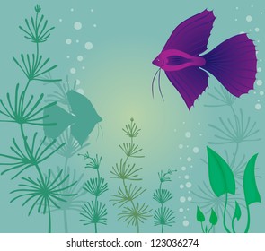 Aquarium background with fish and algae