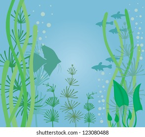 Aquarium background with fish and algae