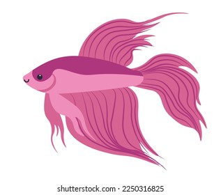 Aquarium betta fish with huge fins, isolated aquatic animal. Sealife and zoology, wildlife of sea and ocean, freshwater. Fauna of underwater, tropical and exotic water dweller. Vector in flat style