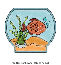 aquarium bowl with colors fish