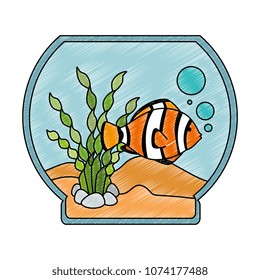aquarium bowl with colors fish