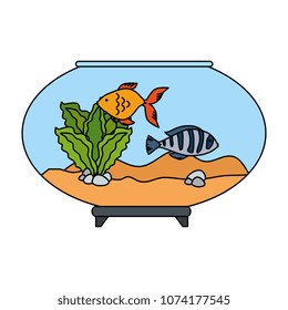 aquarium bowl with colors fish
