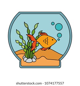 aquarium bowl with colors fish