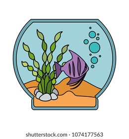 aquarium bowl with colors fish