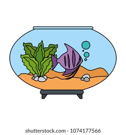 aquarium bowl with colors fish