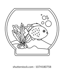aquarium bowl with colors fish