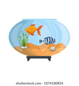 aquarium bowl with colors fish