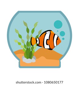 aquarium bowl with colors fish