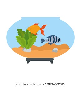 aquarium bowl with colors fish