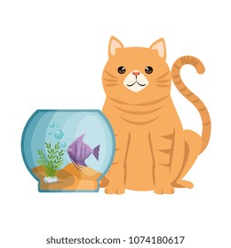 aquarium bowl with colors fish and cat