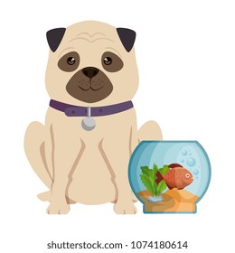 aquarium bowl with colors fish and dog
